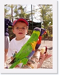 At the Zoo (15) * 576 x 768 * (82KB)